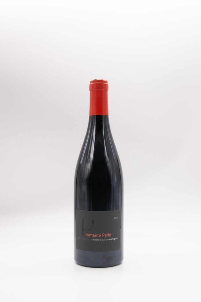 Domaine Pellé Domaine Pellé Pinot noir 2020 Wijnhuis Yzendoorn